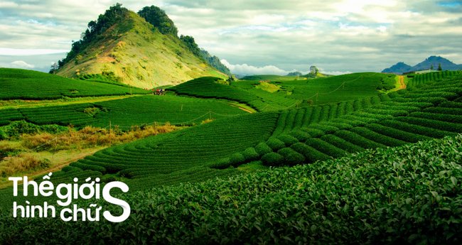 Kinh Nghiệm Ghé Thăm Mộc Trà Khâm Thiên: Thời Điểm Lý Tưởng, Lưu Ý Quan Trọng và Mẹo Vặt
