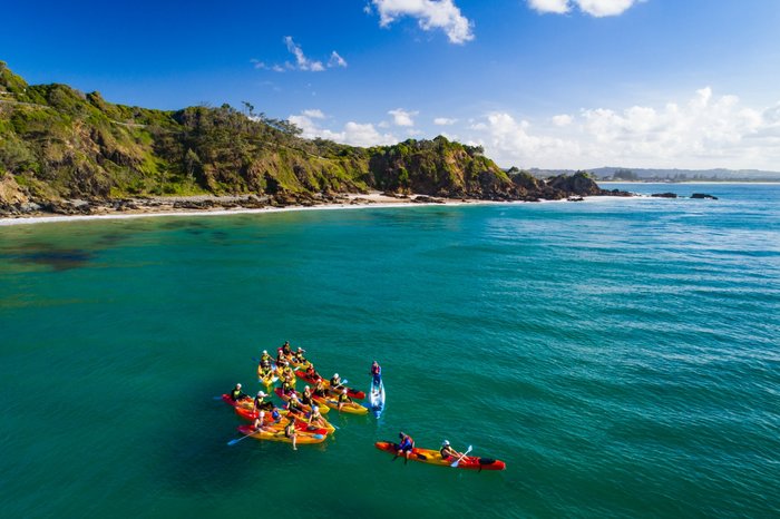 2023 Kayaking with Dolphins in Byron Bay Guided Tour