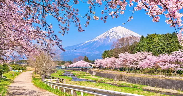 Bản đồ mùa hoa anh đào Nhật Bản đem đến cho bạn những trải nghiệm đặc biệt nhất trong mùa hoa đào. Không chỉ là những công viên và đường phố tuyệt đẹp mà bạn có cơ hội thưởng ngoạn những cây hoa anh đào ở các vùng nông thôn cổ xưa.