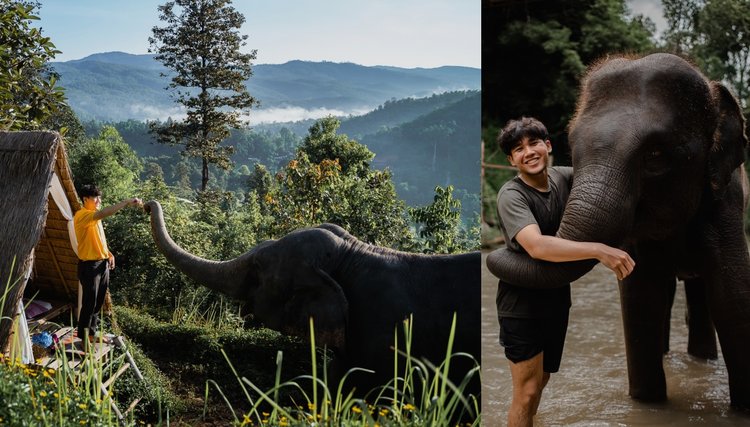 ขับรถเที่ยวเชียงใหม่สุดฟิน ชี้พิกัดเช็คอินโรงแรมที่มีช้างมาปลุกที่ไฉไล  ออร์คิด รีสอร์ท (Chai Lai Orchid Resort) - Klook Blog