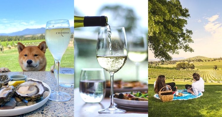 20 Amazing Wineries in the Yarra Valley You Cannot Miss Klook