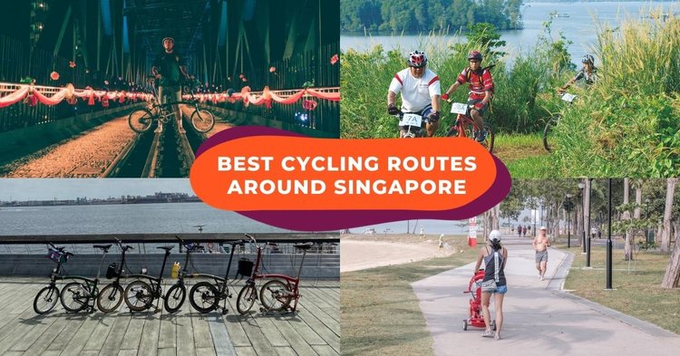 Popular cycling routes near 2024 me