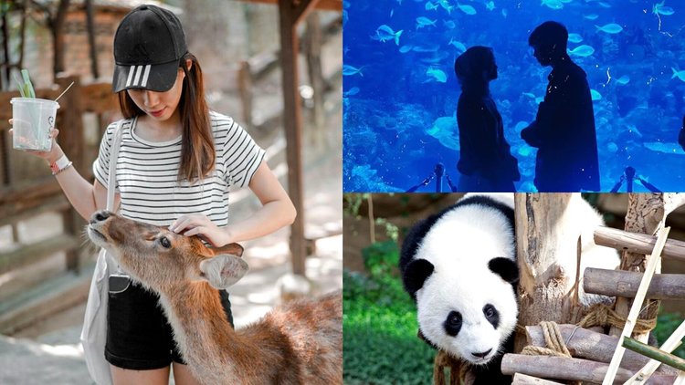 8 Best Outing Spots For Animal Lovers In KL & Selangor: Zoos, Farms, Parks  & More! - Klook Travel Blog