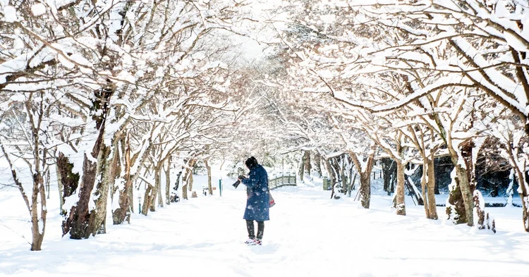 Du lịch Hàn Quốc mùa đông: Mùa đông tại Hàn Quốc không chỉ có tuyết, nhưng còn có các sự kiện thú vị như lễ hội ánh sáng, từ thiện cho người nghèo, thi đấu trượt tuyết và tham quan các lâu đài cổ. Và đừng quên thưởng thức ẩm thực đặc trưng mùa đông như mì tomyum, xôi nóng và bánh gạo nếp trộn.