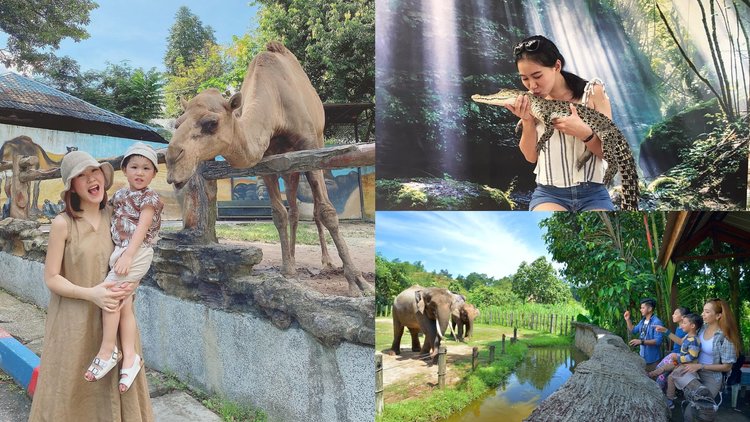 10 Best Zoos & Wildlife Parks In Malaysia That All Animal Lovers Should  Visit! - Klook Travel Blog