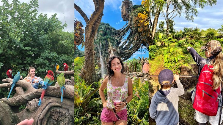 10 Best Rides and Attractions at Animal Kingdom in Walt Disney World -  Klook Travel Blog