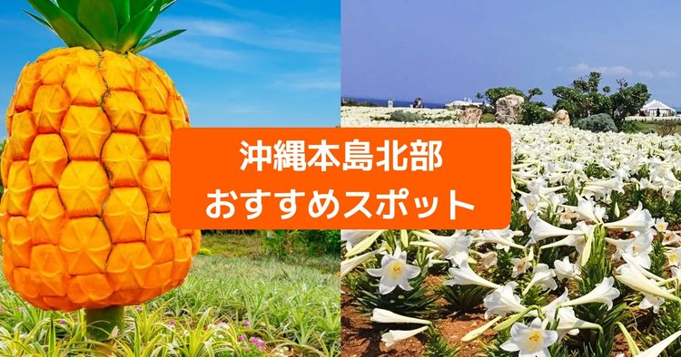 沖縄北部で観光するなら 定番から穴場までおすすめ観光スポット9選 Klookブログ