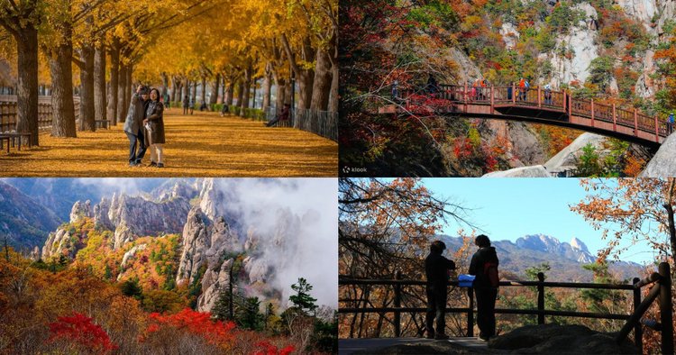 Best Places To See Autumn Leaves In Korea 2022 - Klook Travel Blog