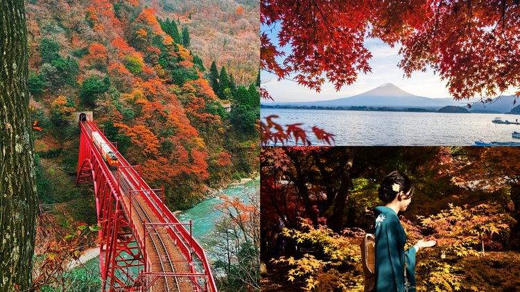 Autumn Travel Guide: 15 Best Places to See Autumn Leaves in Japan 2022 - Klook Travel Blog