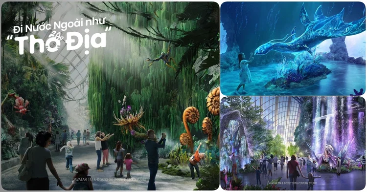 Avatar Flight of Passage in Pandora  Disney Worlds Animal Kingdom  the  disney food blog