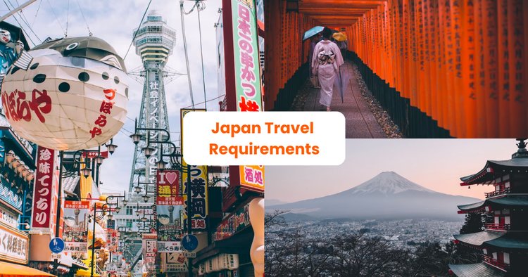 Japan Travel Requirements: How to do Japan Web Application & Other Tips to  Enjoy Japan Visa-Free! - Klook Travel Blog