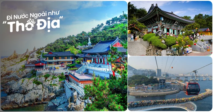 Du lịch Busan sẽ đưa bạn đến một thành phố đáng yêu và thú vị tại Hàn Quốc. Năm 2024, Busan sẽ trở thành một điểm đến hấp dẫn và nổi tiếng trên bản đồ du lịch. Với bãi biển tuyệt đẹp, ẩm thực độc đáo và nền văn hóa đầy màu sắc, Busan chắc chắn sẽ là một trải nghiệm du lịch đáng nhớ.