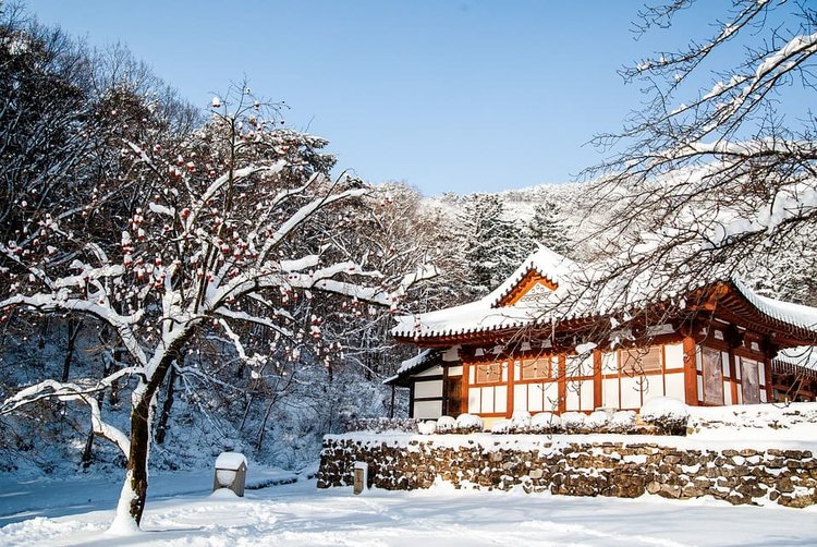 ปักหมุดที่เที่ยวเกาหลีสุดปังรับหน้าหนาว - Klook Blog
