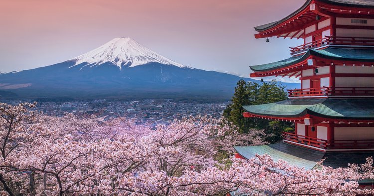 21 Japan Travel Tips Shared by Locals that All Travellers Must ...