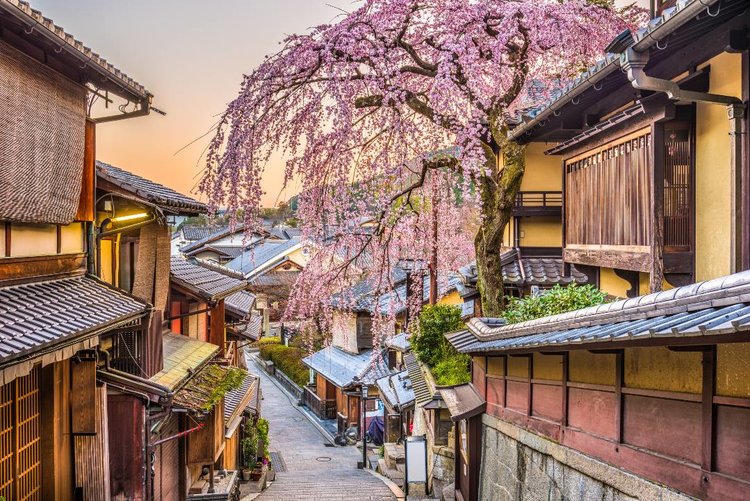 2023最新】京都のお花見・桜名所15選｜絶景スポット・おすすめアクティビティまとめ | Klookブログ