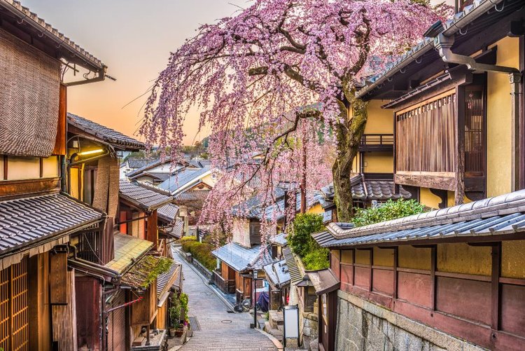 2024最新】京都のお花見・桜名所15選｜絶景スポット・おすすめ