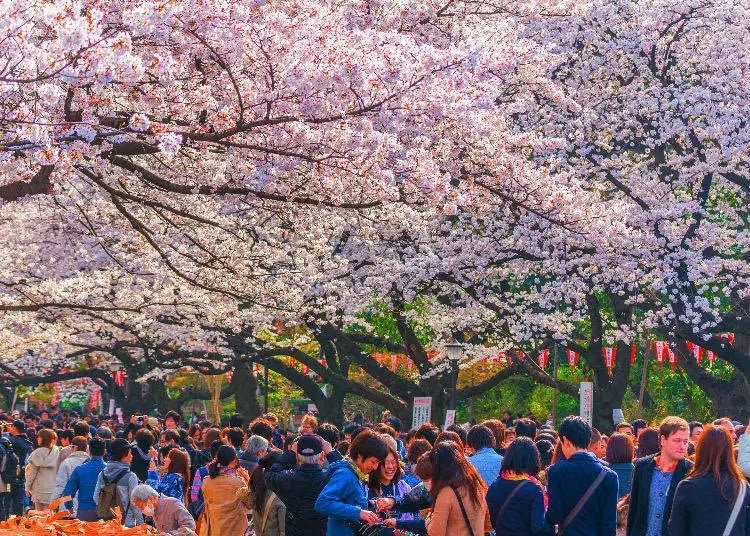 ฤดูใบไม้ผลิที่ญี่ปุ่นสวยโดนใจที่ไหนต้องโดน - Klook Blog