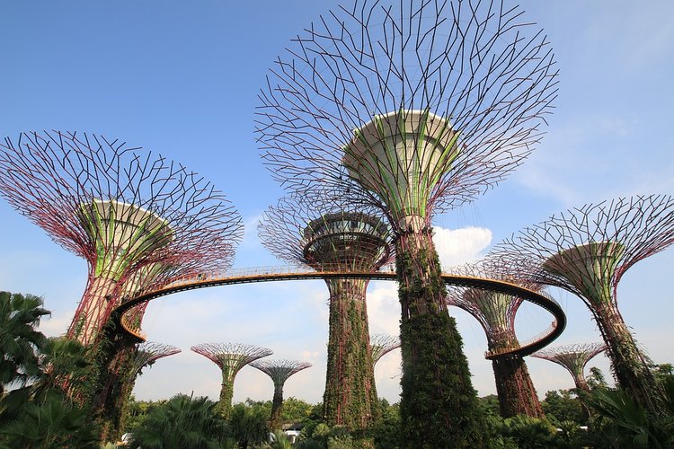 10 กิจกรรมในสิงคโปร์ Singapore จอยแน่ทุกครอบครัว - Klook Blog