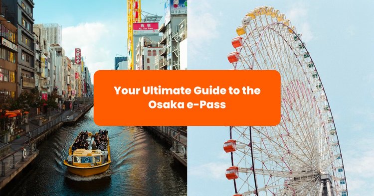 Guide to City Sightseeing's Theme Park Express