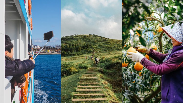 15 Best Things to Do in Jeju: Snoopy Garden, Go Kart Race Park