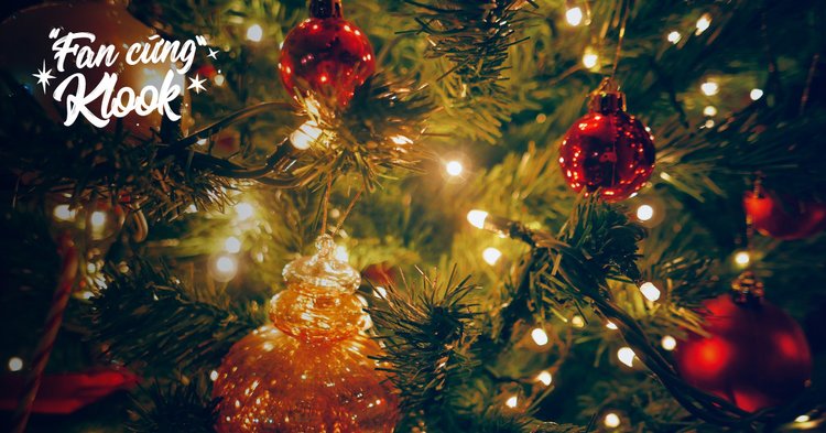 Vì sao cây thông lại là biểu tượng của ngày lễ Giáng Sinh?