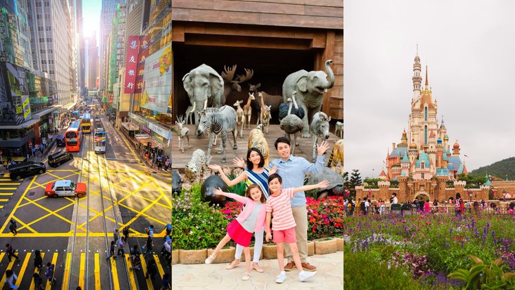 Best things to do in Hong Kong 2024  Attractions & activities - Klook US