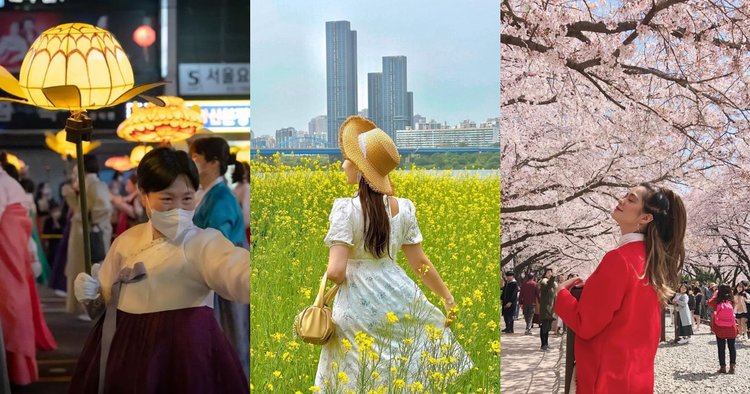 7 Spring Festivals in Korea to Welcome the Season - Klook Travel Blog