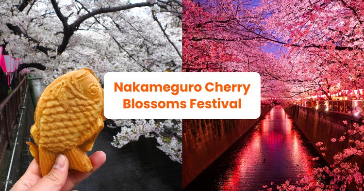 Nakameguro Cherry Blossom Festival 2024 Guide - Klook Travel Blog