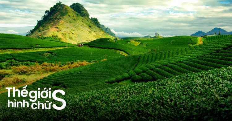 Kinh Nghiệm Du Lịch Mộc Châu Từ A-Z Cho Người Mới - Klook Blog