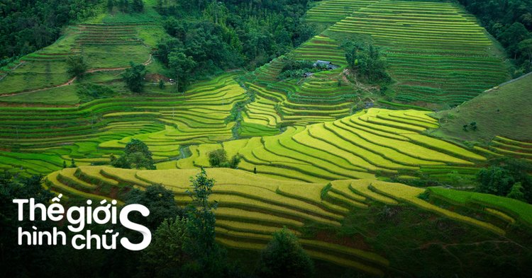 Địa danh nào là quê quán của tác giả Nguyễn Khoa Điềm?