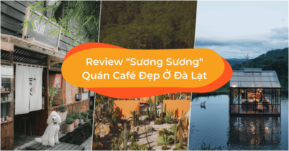 Review Sương Sương 10 Quán Café Đẹp Ở Đà Lạt