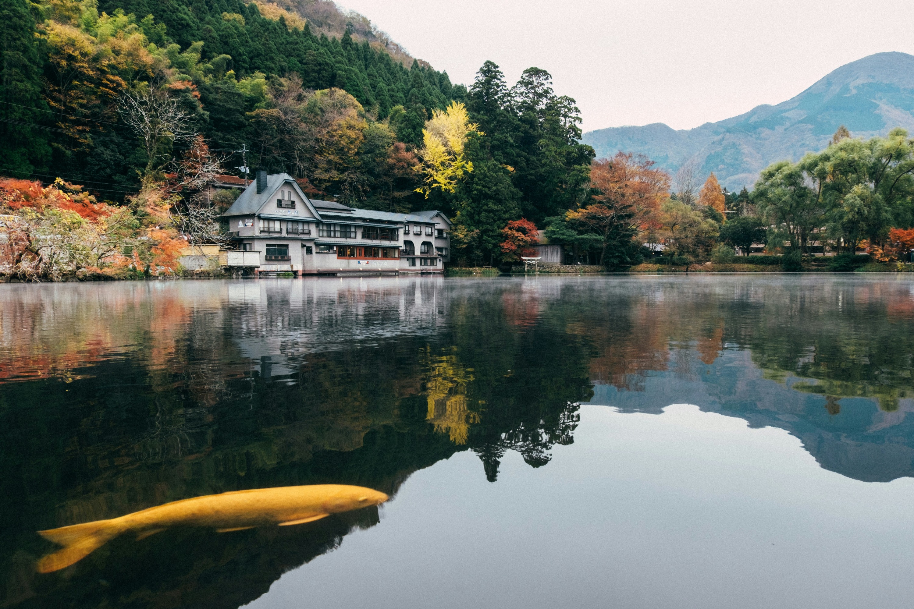 Lake Kinrinko in Yufuin,Oita,Japan