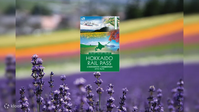 Itamiです。 50's～ Levi's 503ZXX パッチ残り デニムパンツ 表記(AGE0 W18 L14