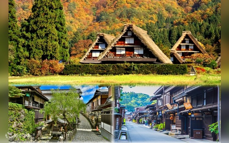 世界遺産白川郷と飛騨高山の日帰りツアー (ランチビュッフェ付き