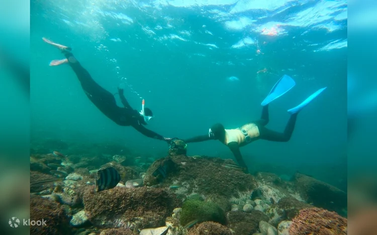 Jeju Haenyeo Experience — Traditional Female Diver Culture
