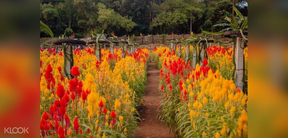 tourism in tanay rizal