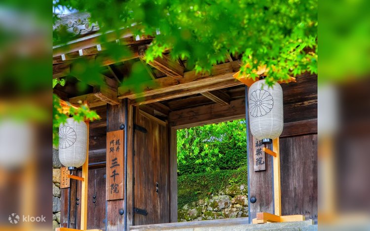 Summer Limited] Kyoto Summer Retreat Day Tour | Kifune Shrine