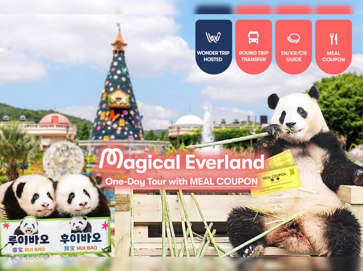 Экскурсия В Парк Everland От Компании Wondertrip На.