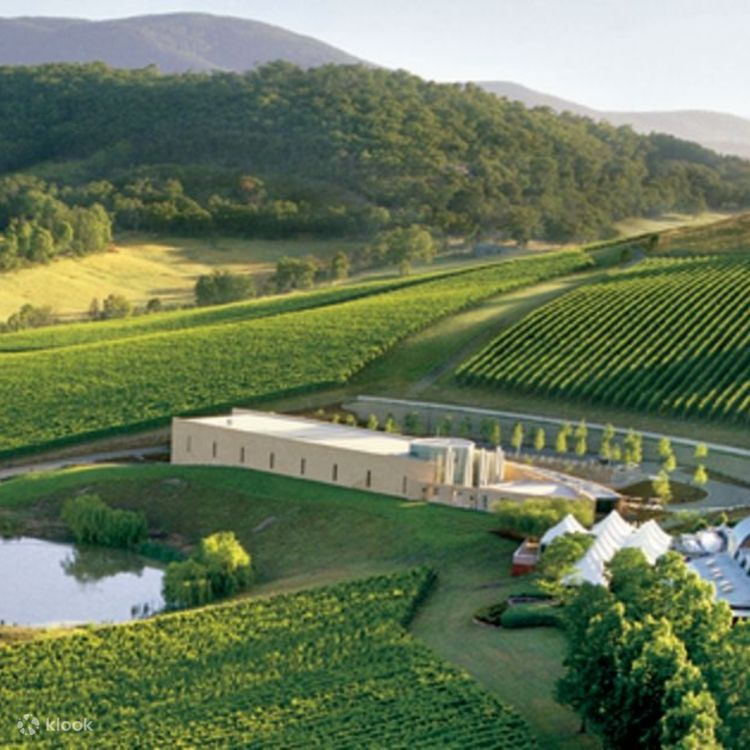 Restaurant Best Winery Bellarine Peninsula The Bellarine's Best