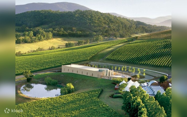 Melbourne Best View Winery Near Me Macedon Ranges Boutique Winery
