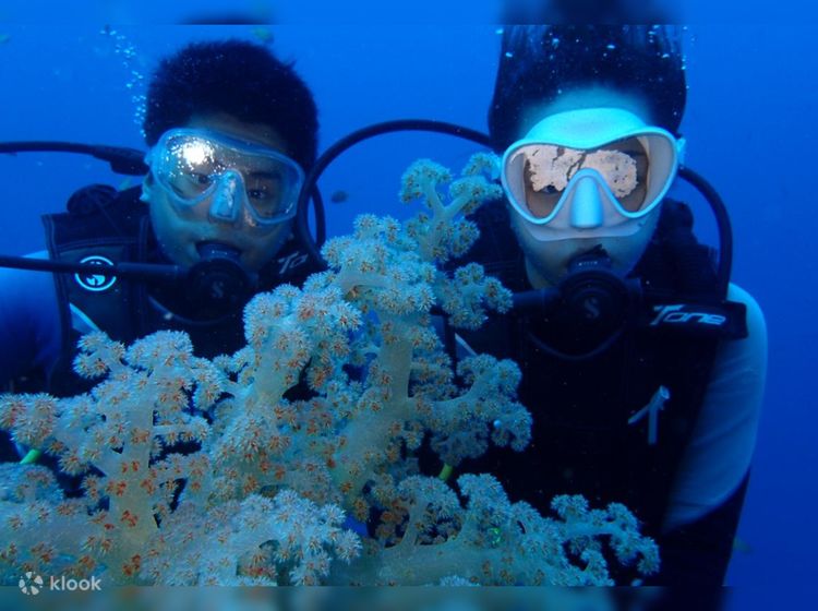 9 ways to responsibly scuba dive in India