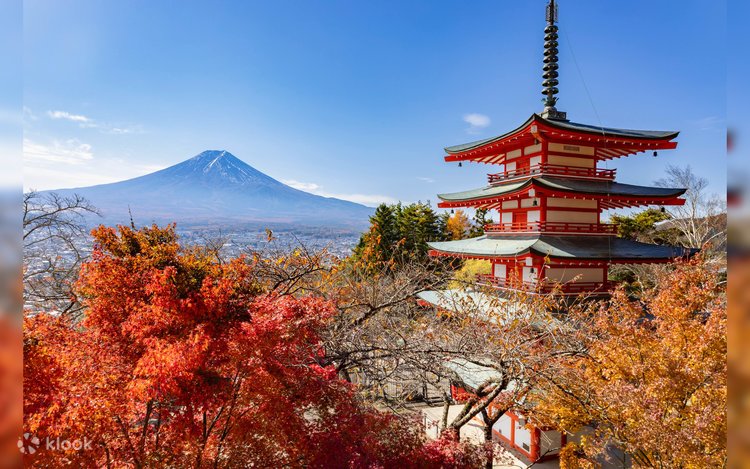 Mount Fuji Day Trip: Arakurayama Sengen Park & Oshino Hakkai