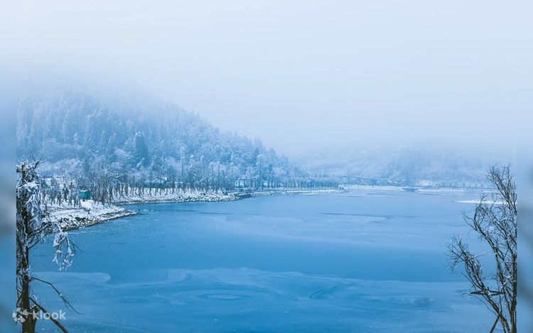 雪湖 田泽湖| 青森| 日本冰雪| 日本旅游