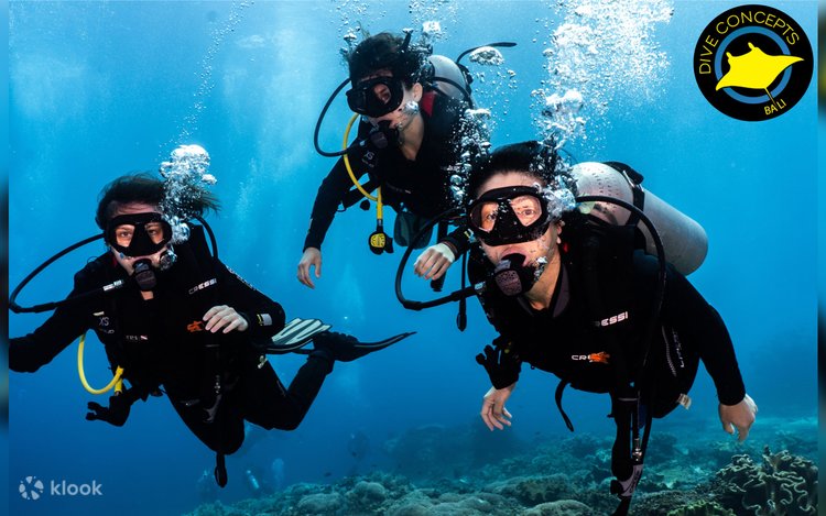 トランベン スキューバダイビング 半日体験 | Klook