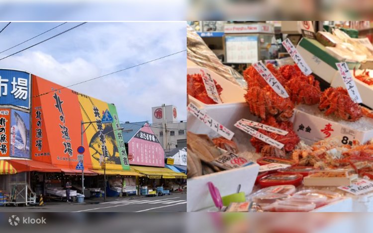 Sapporo Departure: Hokkaido Shrine & Jozankei & Curb Market Day