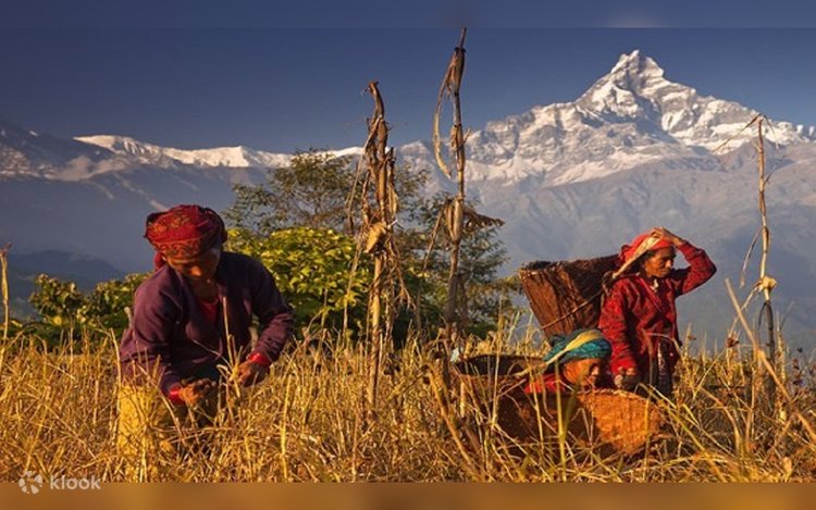 バウ　Himalaya ５点セット Esplora la bellezza dell'Himalaya: tour guidato per visitare 5
