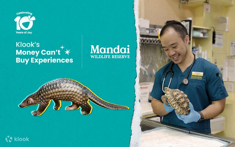 シンガポール マンダイ野生生物保護区で野生動物のお医者さん体験 | Klook
