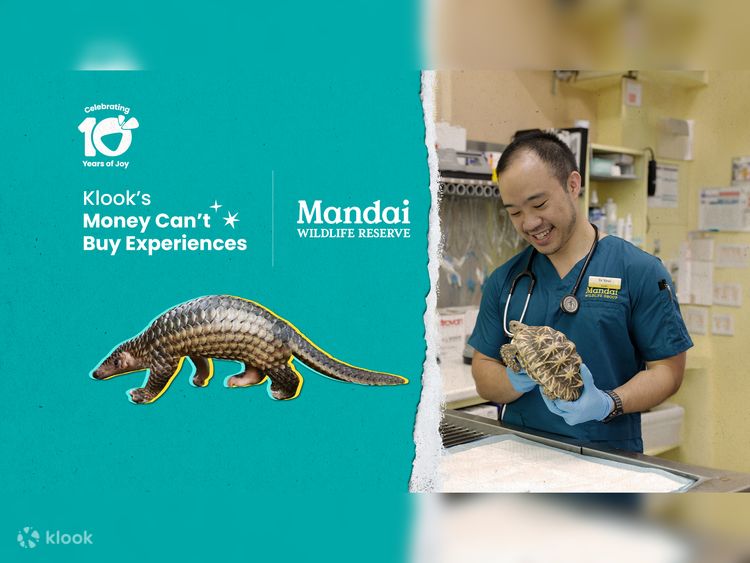 シンガポール マンダイ野生生物保護区で野生動物のお医者さん