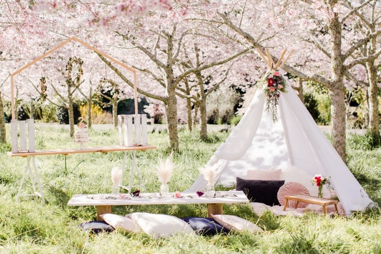 Insta-worthy Teepee Picnic Party Rental With Optional Grill Platter in  Penang