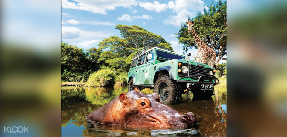 Book Bali Safari and Marine Park Tour